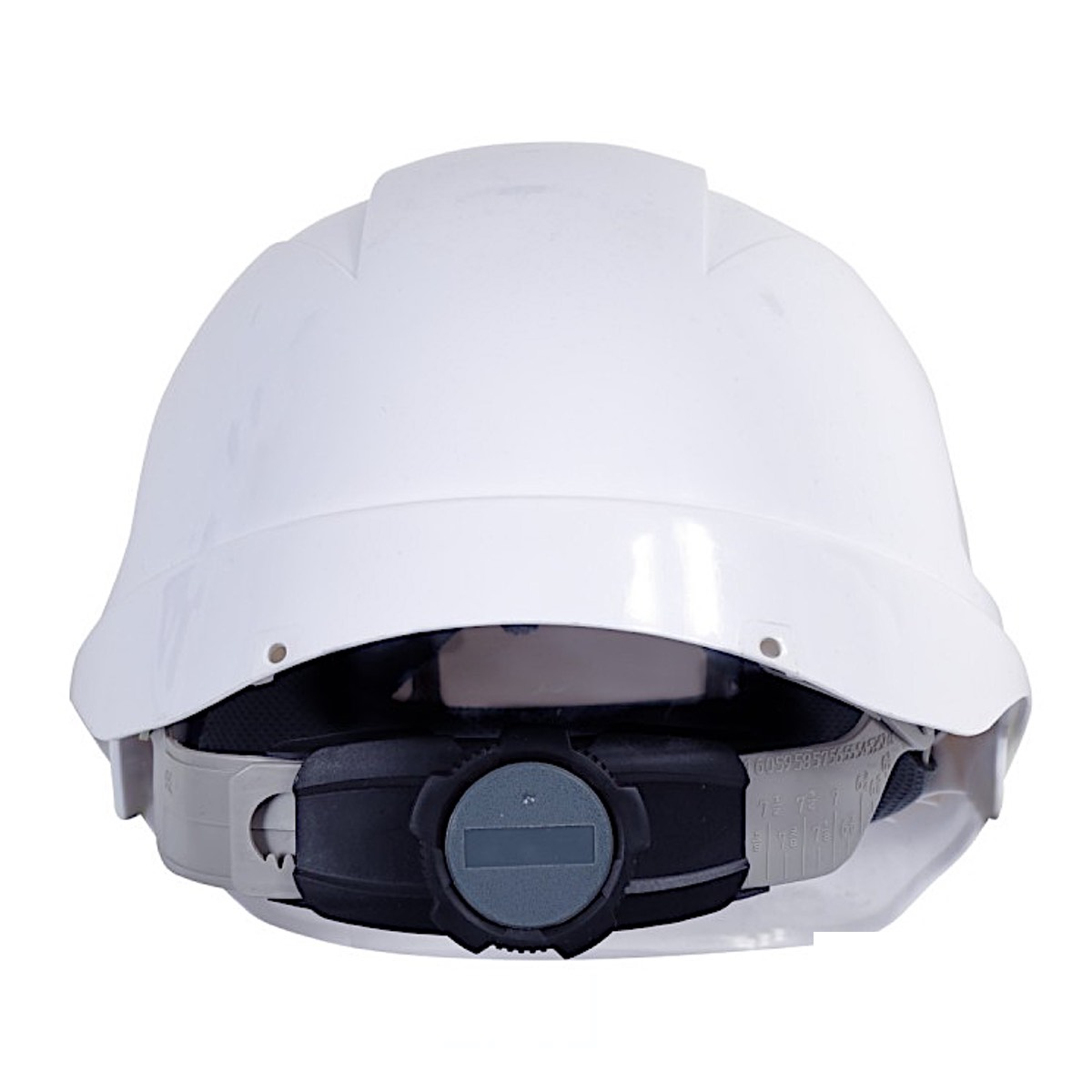 MORION back